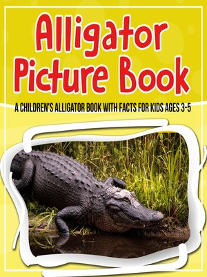 cover image of Alligator Picture Book